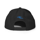 "PResistance" Snapback Hat