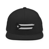 "PResistance" Snapback Hat