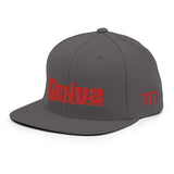 "Genius" Snapback Hat
