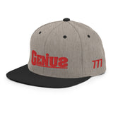 "Genius" Snapback Hat