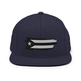 "PResistance" Snapback Hat