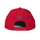"PResistance" Snapback Hat