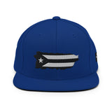 "PResistance" Snapback Hat
