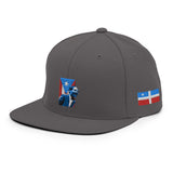 "Don P.A.C" Snapback Hat