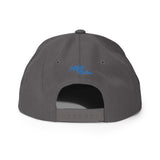 "Don P.A.C" Snapback Hat